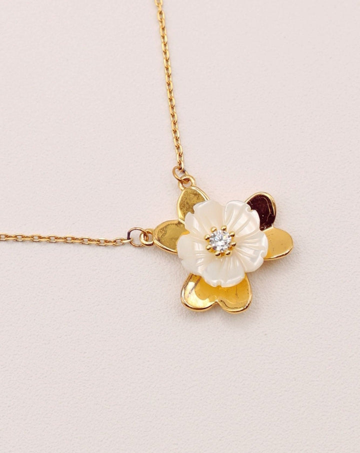 Collar Freshness - SMOLL republic