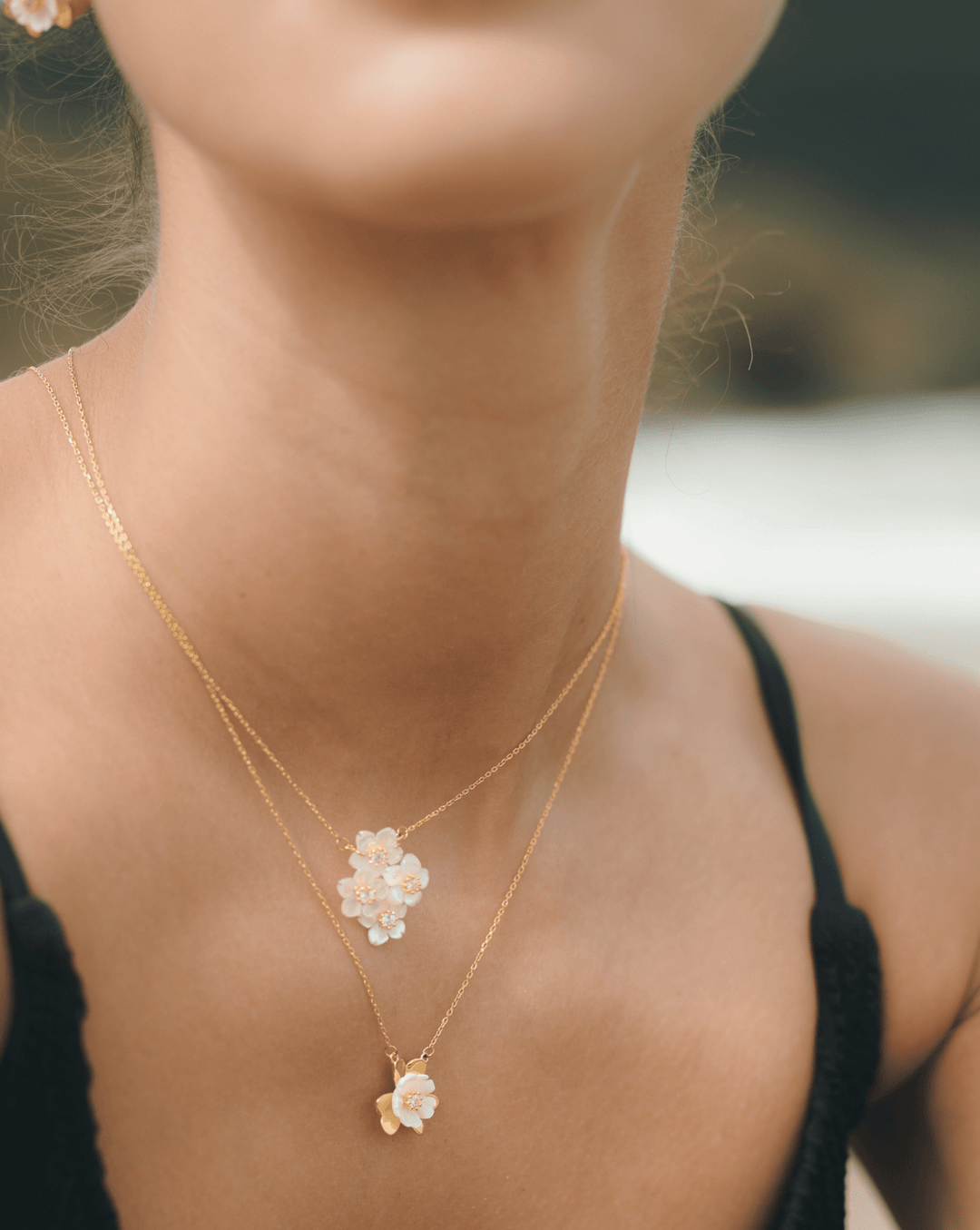 Collar Freshness - SMOLL republic