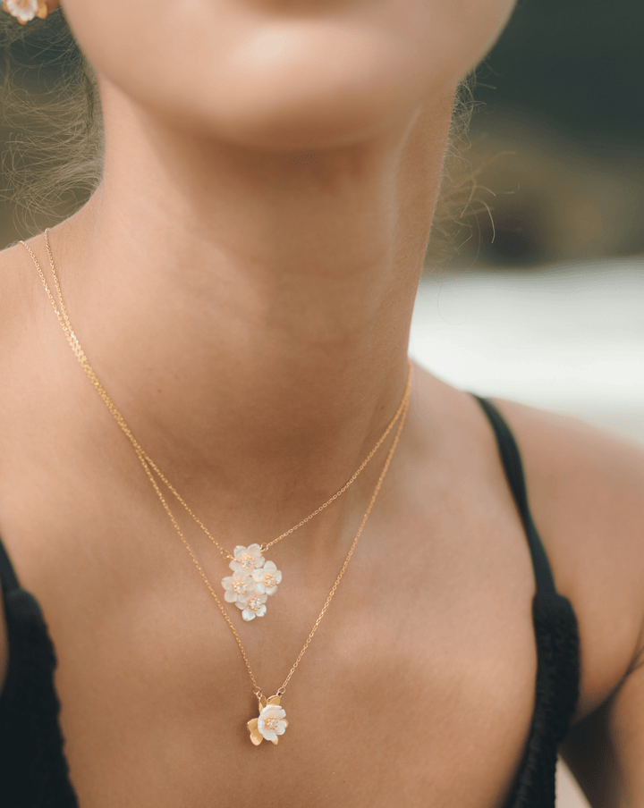 Collar Freshness - SMOLL republic