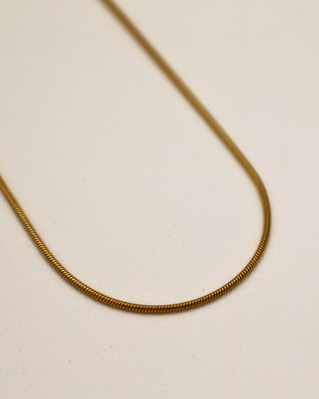 Fine Snake Chain Necklace - SMOLL republic